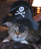 Pirate Clipper Image